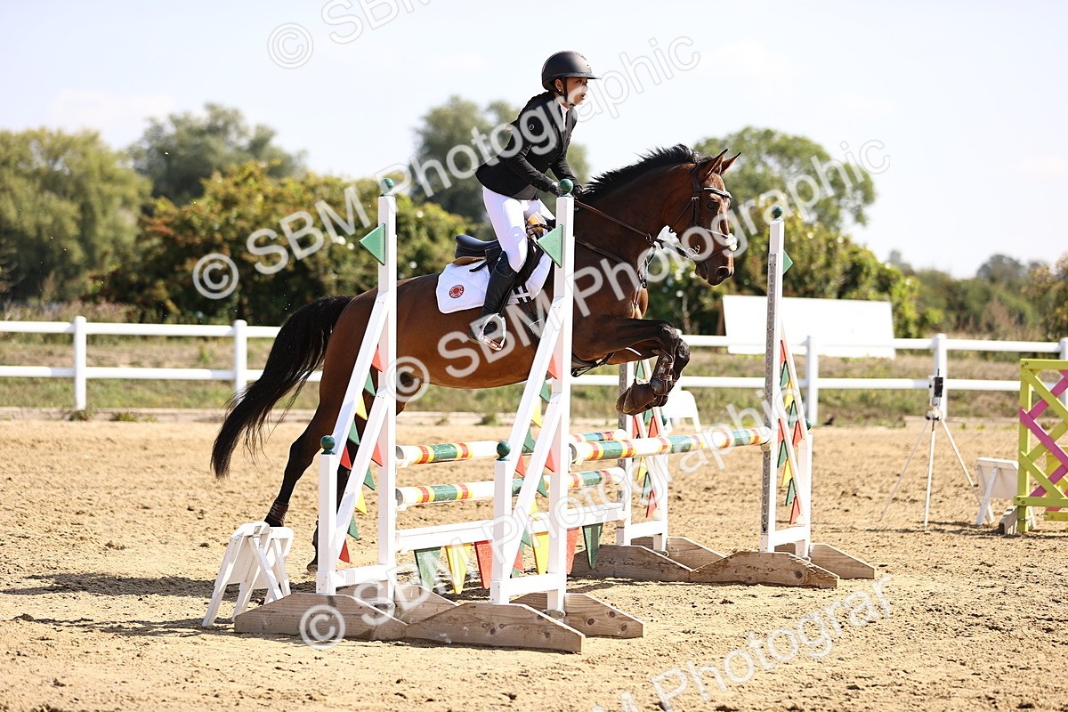 SBM_005790 - Class 9 - Senior British Novice - 90cm