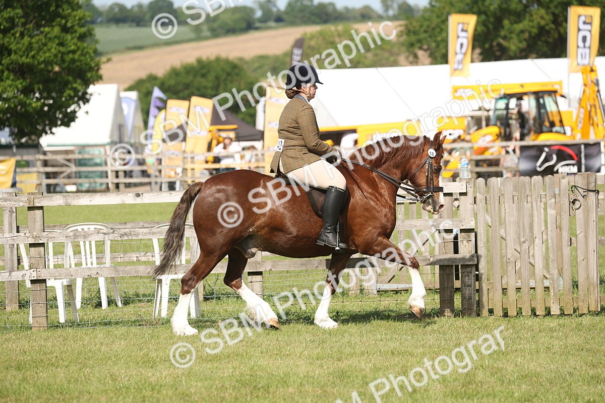 SBM_09555 - Class 33-38 - SSADL RIHS Qualifiers