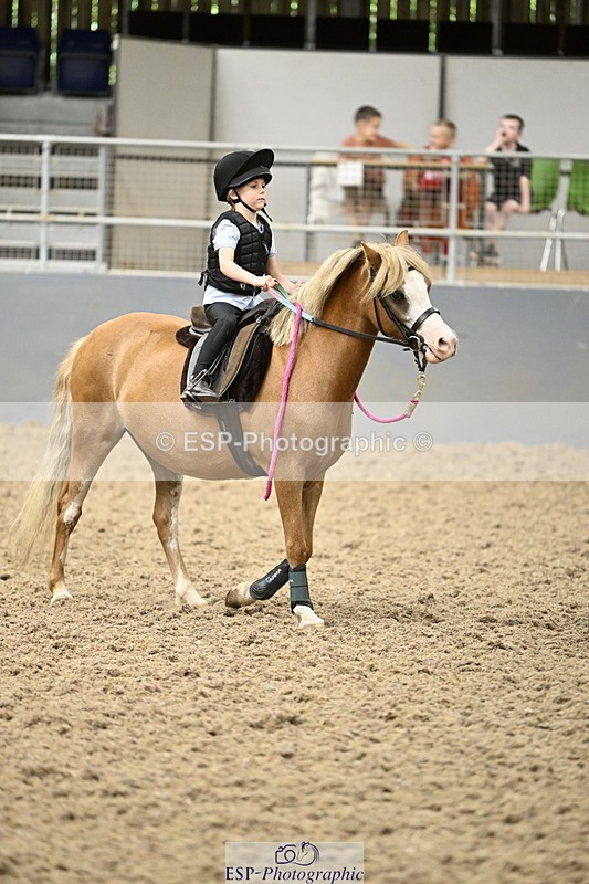 240728B-142554-00530 - Theo and Gemma's Groups Indoor