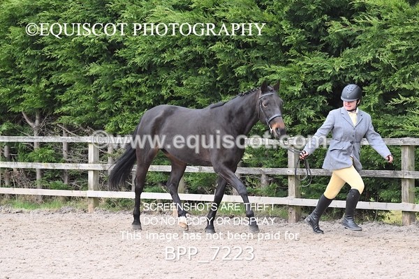 BPP_7223 - RING 1  (RIDDEN HORSES / IN HAND / VETERAN ETC)