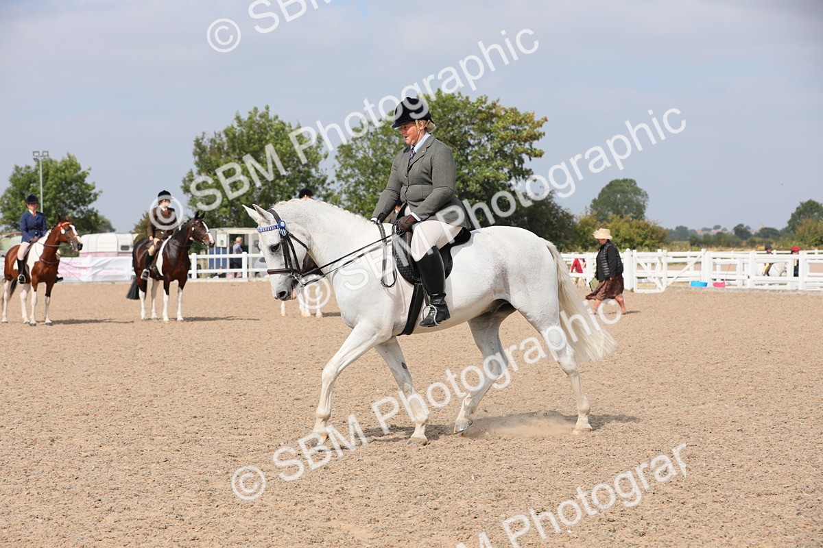 SBM_13380 - Class 308 Ridden Coloured Horse