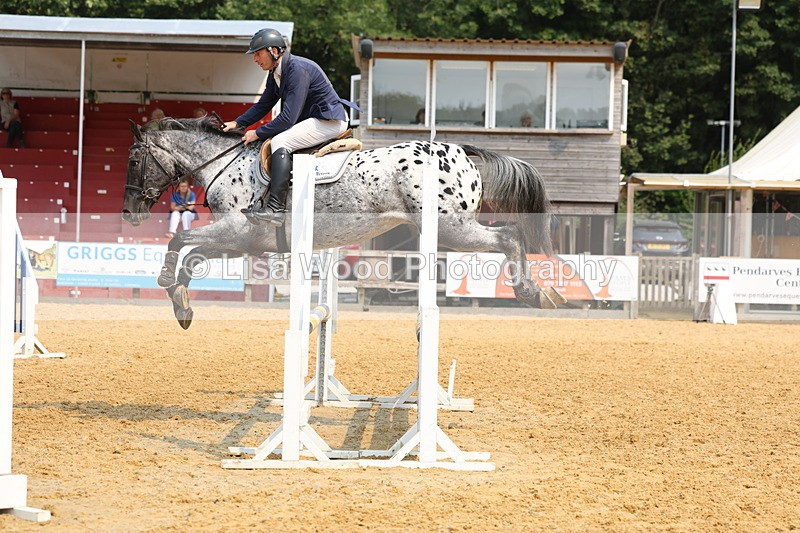 3E7A1659 - Class 4: Senior British Novice/90cm open