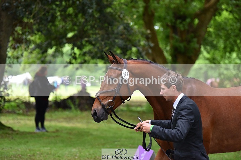 240522-171106-01442 - 252-HARIBO_LOUVO-Gaspard_Maksud