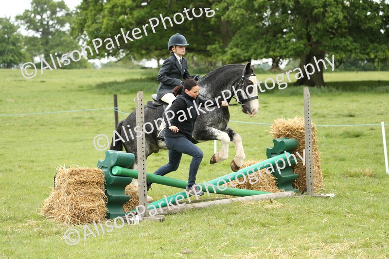 20250517-0437 - Class 20 - Beginners Working Hunter