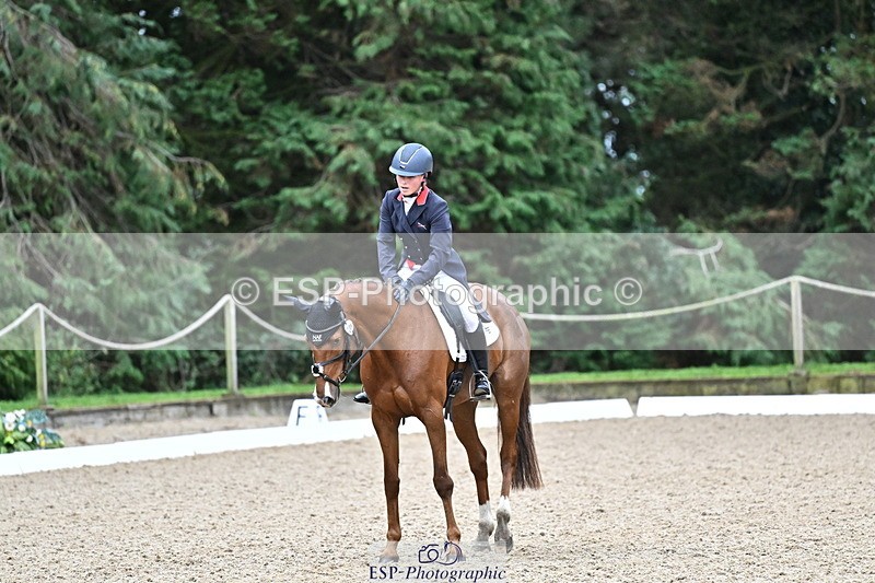 251022A-145127-00147 - C-206-Madison.Tapner