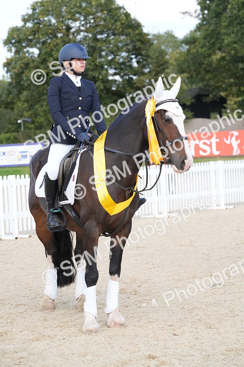 SBM_48882 - J22 - Junior Horse 65cm Championship