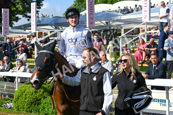 160525-Race 5-The Man-7121 - Race 5 4.15pm Irish Thoroughbred Marketing Handicap