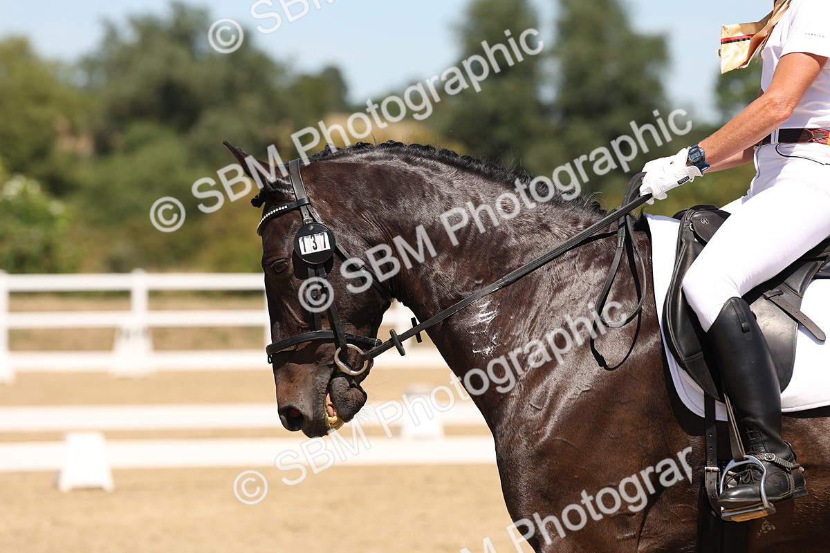 SBM_002793 - Elementary 4