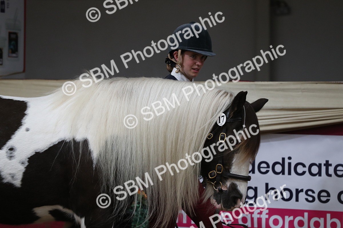 SBM_06201 - Class 9R Regional- IH Pre Vet
