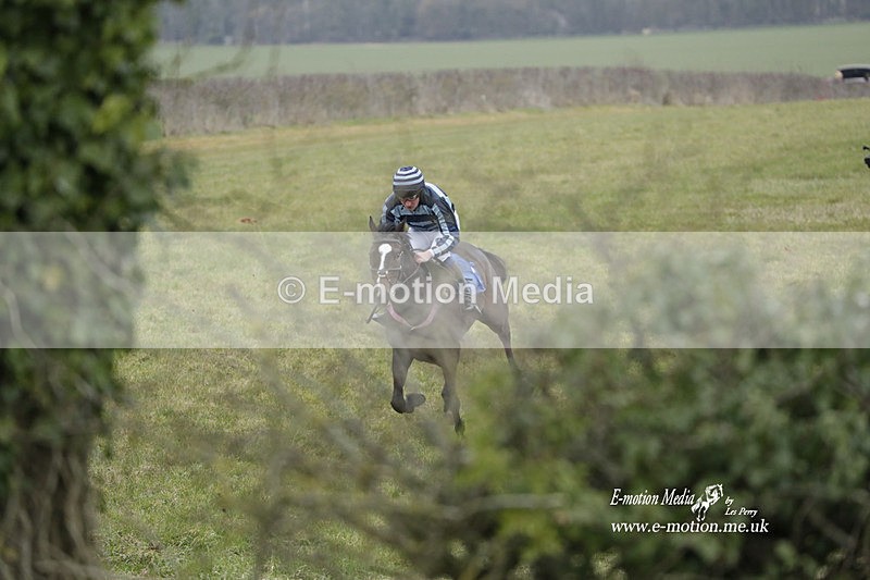 PtP 040323 354 - Duke of Beauforts Hunt Point-to-Point Didmarton 04/03/23
