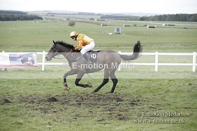 PtP 150320 0726 - New Forest Point-to-Point Larkhill 15/03/20