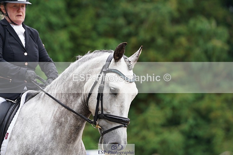 240721-095800-07350 - 150-Karen_Jones-Esplendido_UJ