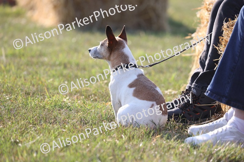 20250731-0649 - Class 1 - Intro 4