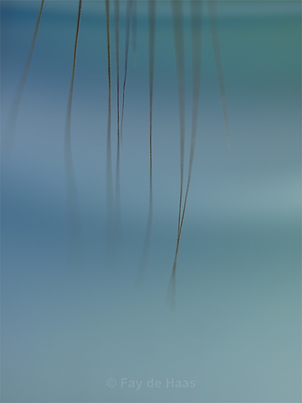 Blue 4 - Exhibition Images