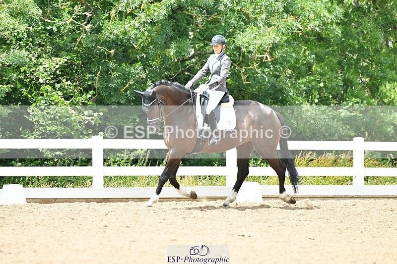 230701A-131502-06265 - Cls 12, 15 + 19 Music Medium, Adv Medium + Inter I