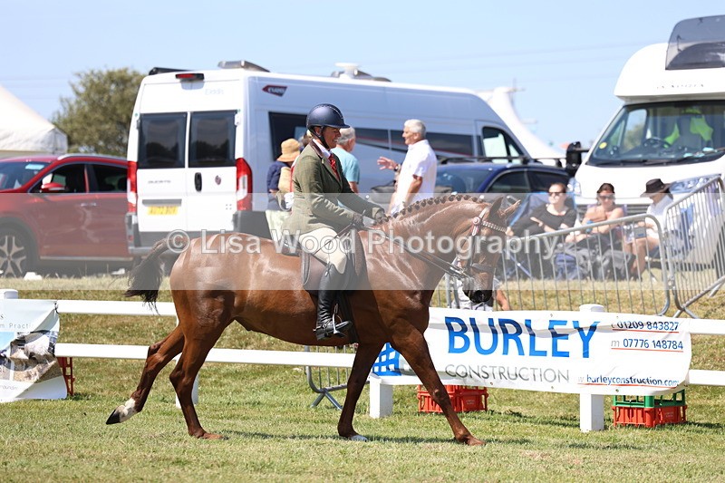 3E7A7702 - Class 7: Open Riding Horse