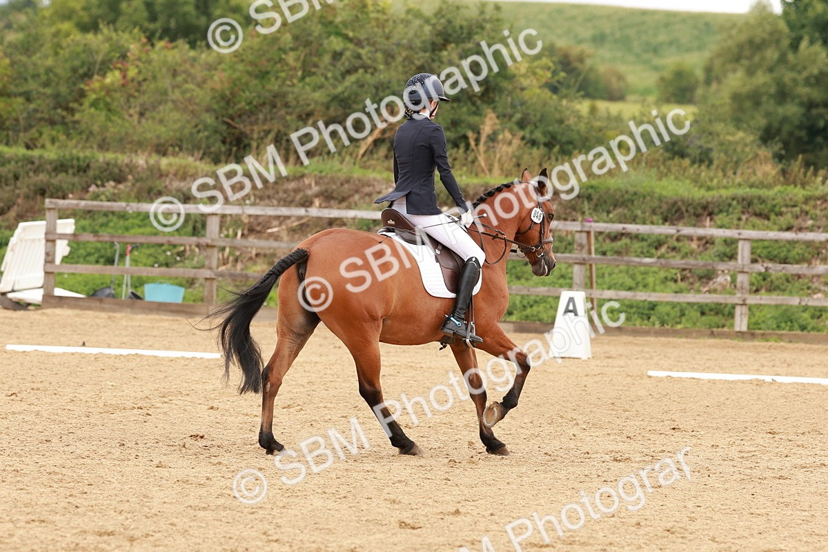 SBM_002660 - Novice 2