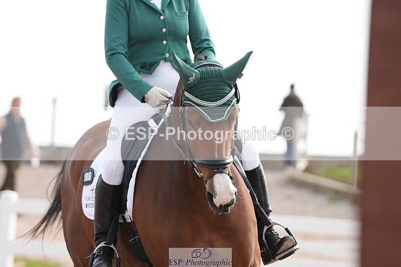 250906-095926-01398 - 001-Tracy.OKennedyWylye.Harlequin