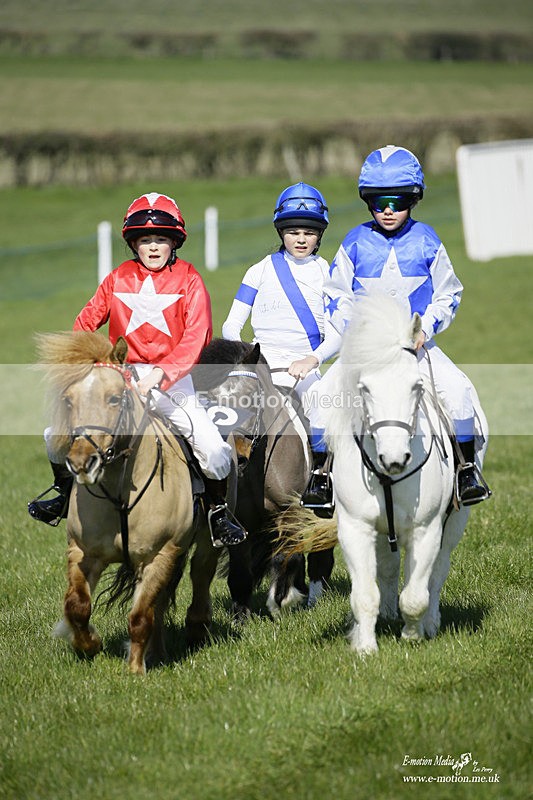 PtP 190322 54 - Wilton Hunt PtP Milborne St Andrew 19/03/22