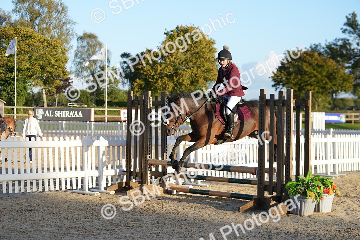 SBM_54148 - Supreme Championship 60cm 65cm