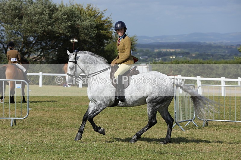 1X9A5904 - Class 41:. NPS New Forest & Connemara