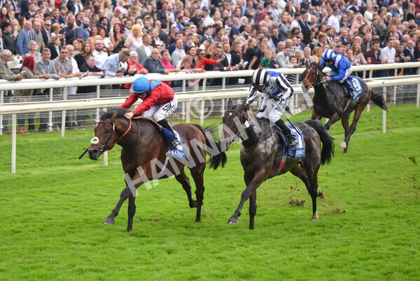 yr09102021r3-21 - Race 3 2.37pm Play Coral Racing-Super-Series For Free Handicap