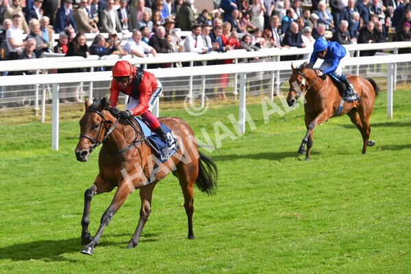 yr11052022r4-36 - Race 4 3.35pm Tattersalls Musidora Stakes