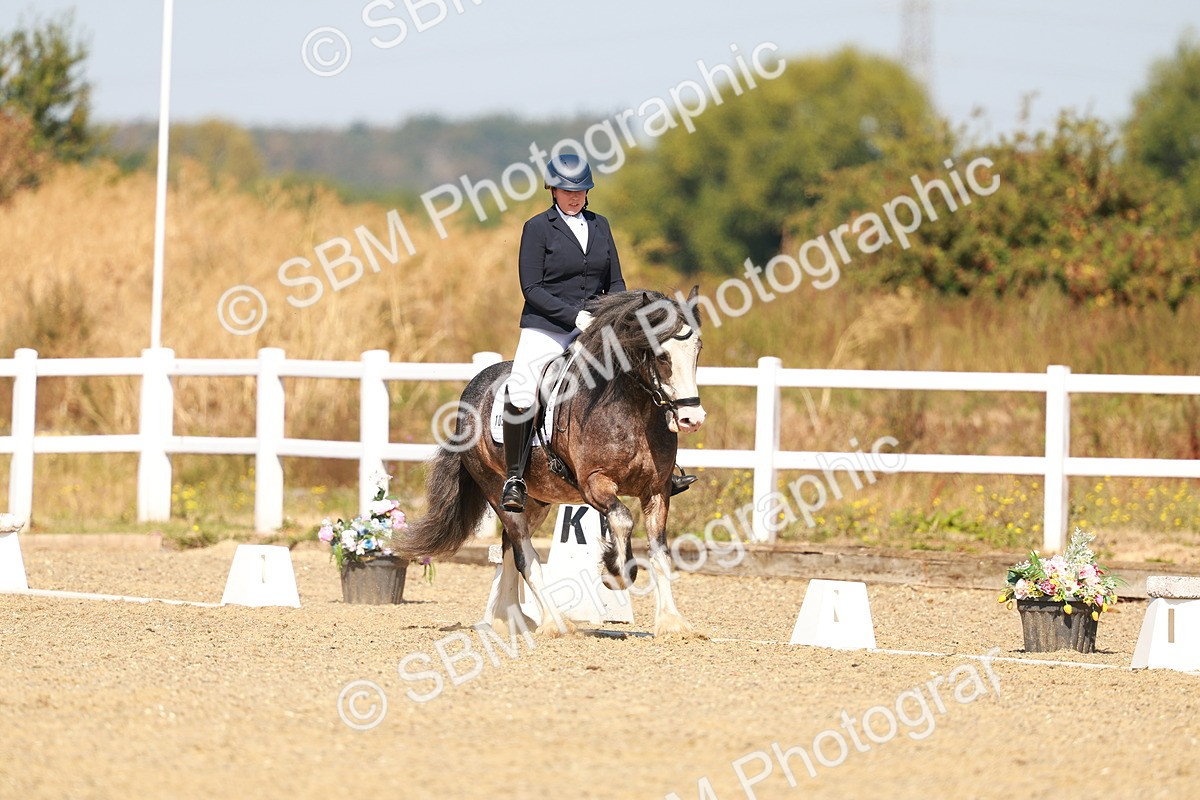 SBM_017774 - Class 9 - N5 Bronze 10.33.11.36