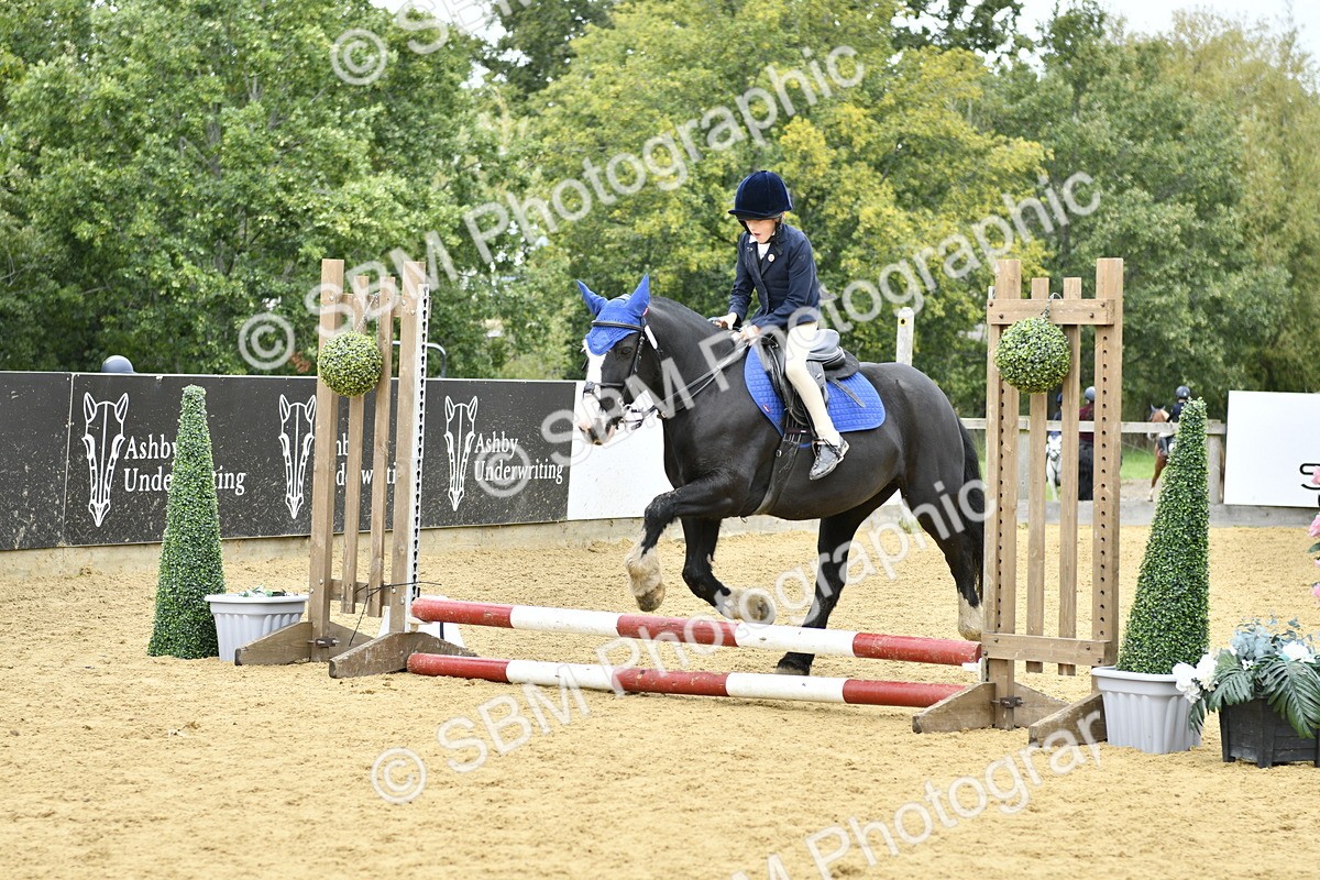 SBM_65436 - J2a mini Tour Junior Pony 30cm Championship