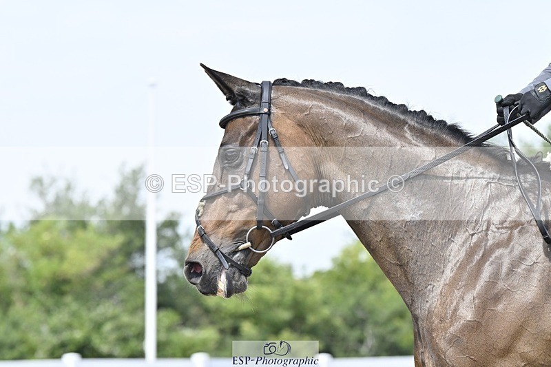 250621-130608-08108 - Cls 27 - Novice 6, 12.20 to End