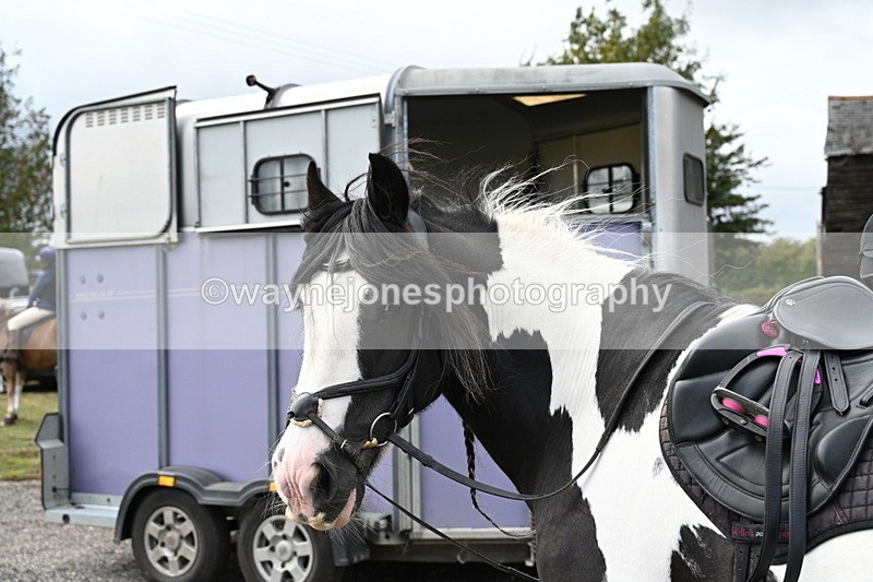 WJ7_6723 - Berks & Bucks at Blandy’s Farm 31-08-25
