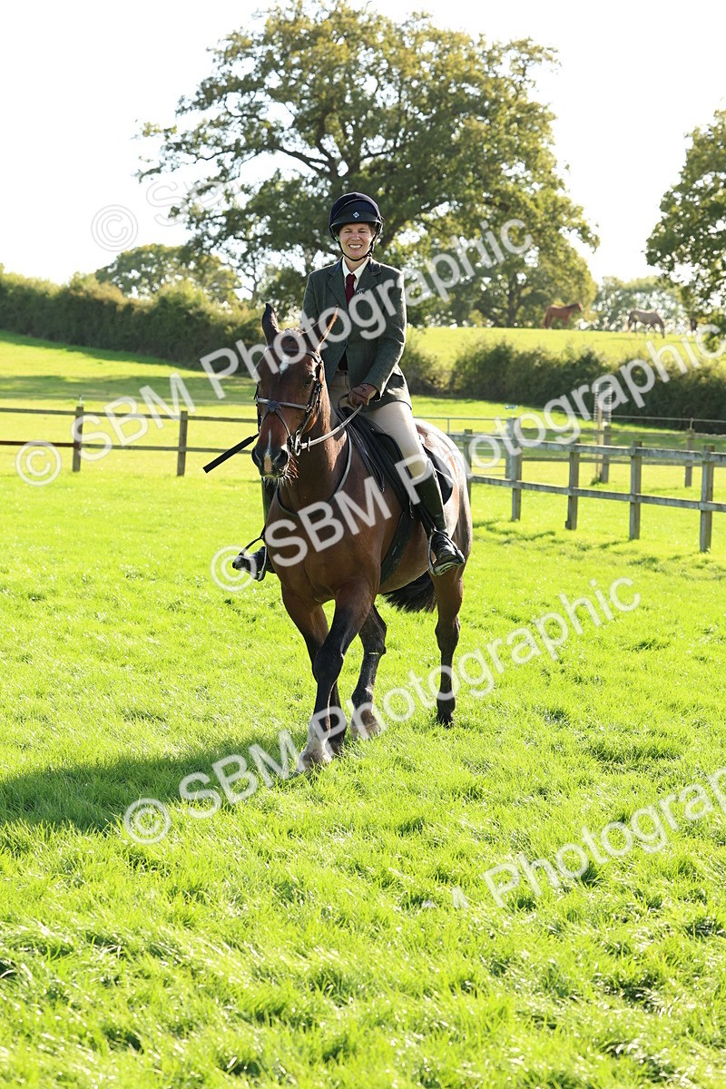 SBM_50136 - S34 - Novice & Newcomers Working Hunter