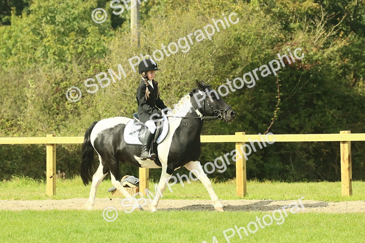 SBM_67411 - S56 - Coloured Pony Ridden