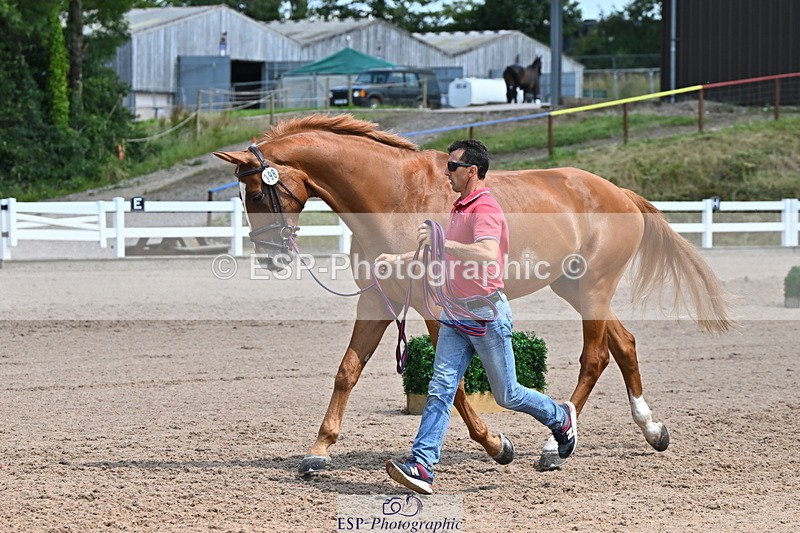 240718A-105259-01409 - Trot Up 12pm to 1pm