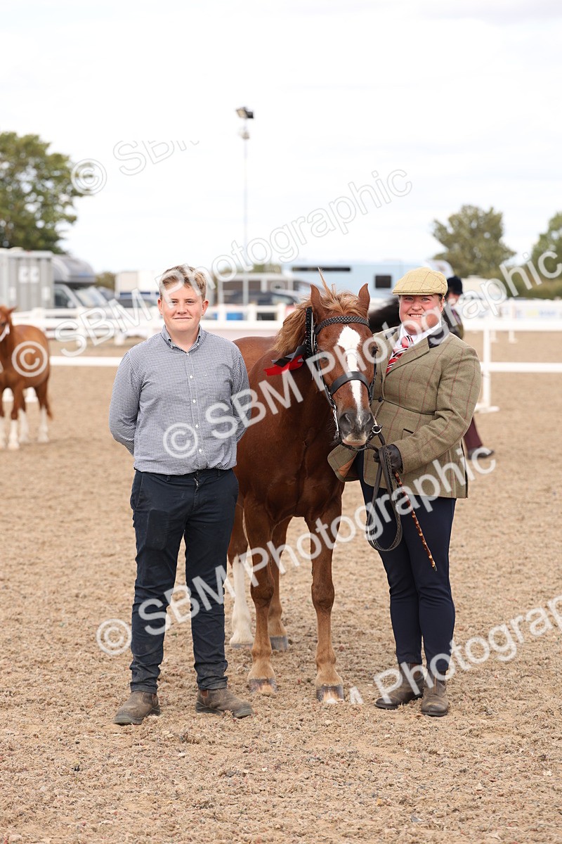 SBM_15139 - Class 209 - IH Veteran Pony