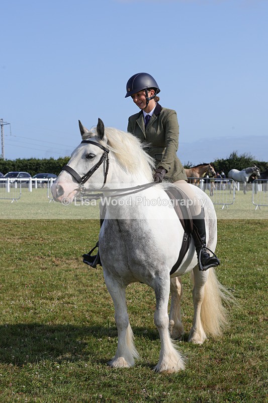 1X9A3375 - Class 28: Ridden Native/Trad Coloured Pony