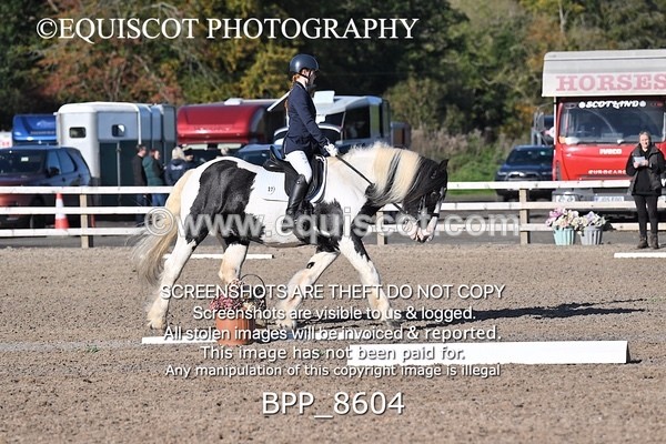 BPP_8604 - SHORT ARENA
