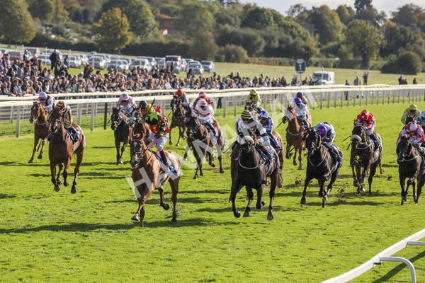 141023-Race 3-Montassib-0402 - Race 3 2.25pm Coral Sprint Trophy Handicap