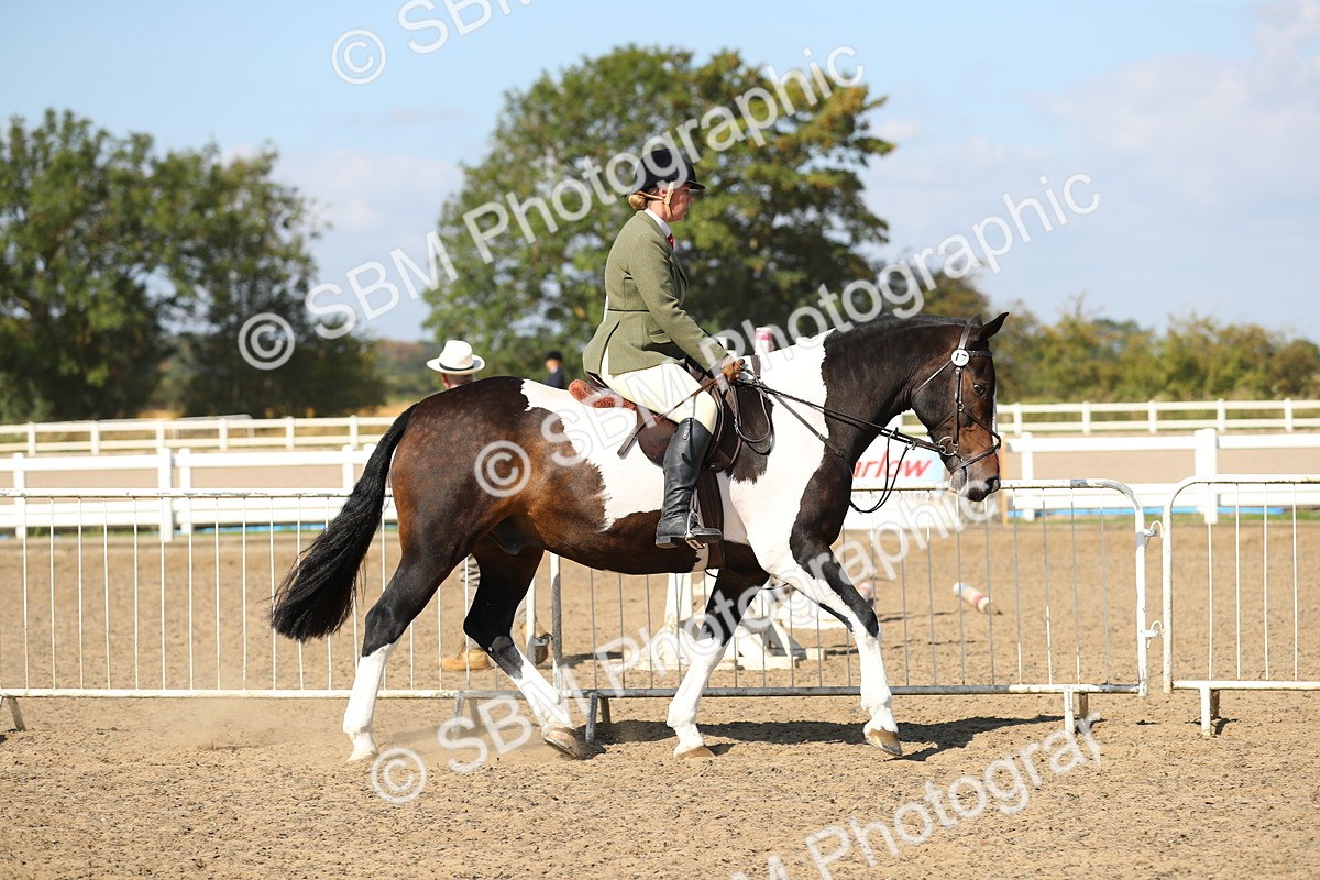 SBM_03123 - Class 44 Riding Club Horse/ Pony