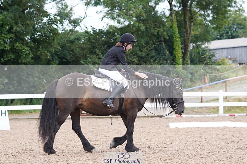 240809A-095442-00359 - Dressage Competition