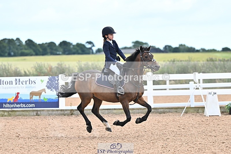 240723A-165616-00294 - 70cm