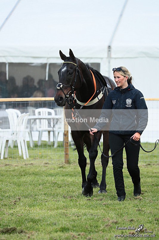 PtP 180426 671 - Worcestershire Hunt PtP Chaddesley Corbett 18/04/26