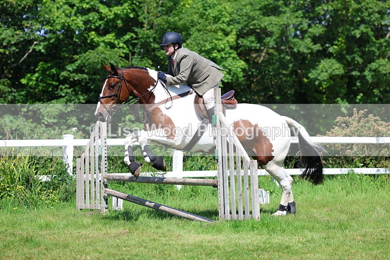 3E7A6865 - Class 30: Novice Working Hunter