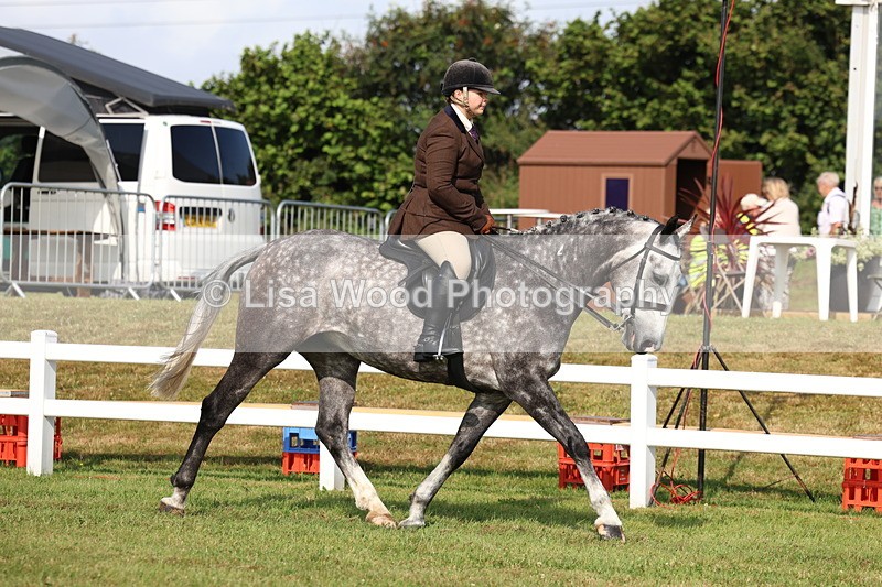 3E7A8501 - Class 3: Rising Star S/L Hunter