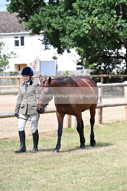 WJ7_1770 - Class 4a Prettiest Mare 14.2hh and over hand