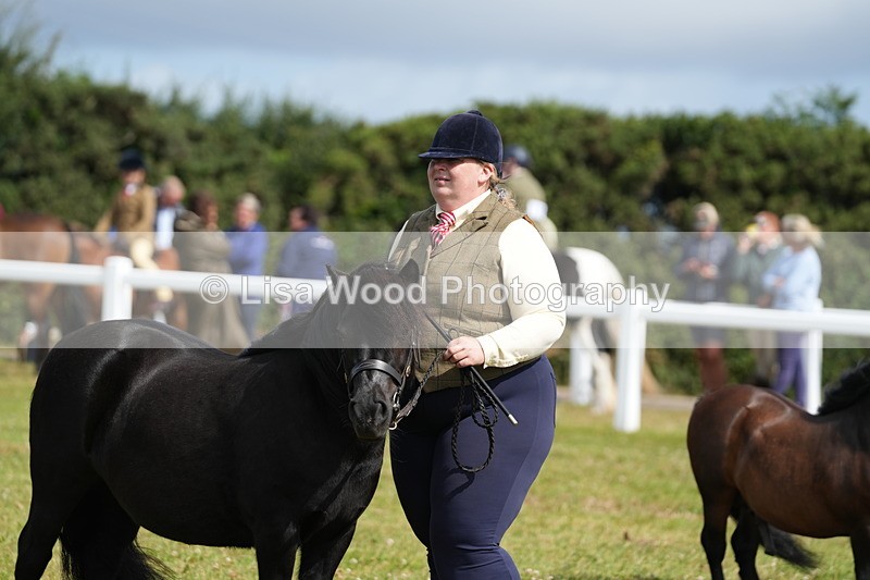 DSC05394 - Class 49: NPS Shetland 4 years and over