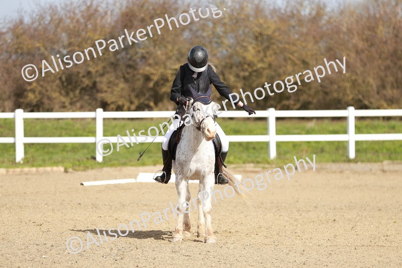 20260314-1127 - DR2 - Intro 3