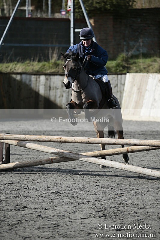BVRC SJ 170319 1 - Bourne Valley Riding Club Showjumping 17/03/19