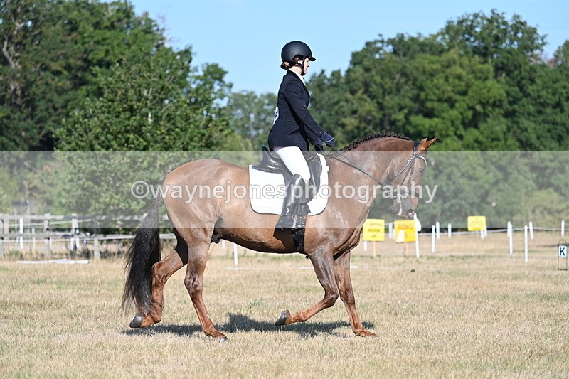 WJ7_8737 - Time 09:00 to 09:24