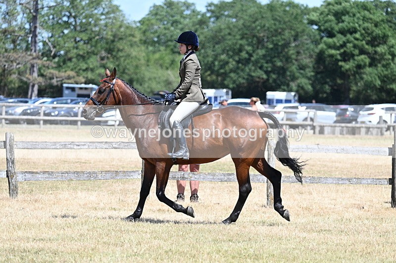 WJ7_2811 - Class 7 Riding Club Show Horse